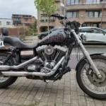 Vue latérale droite d'une Harley-Davidson Dyna Low Rider avec échappement chromé, réservoir aérographié et selle double.
