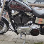 Vue rapprochée du moteur chromé Twin Cam 103 et du carter primaire d'une Harley-Davidson Dyna Low Rider avec réservoir personnalisé.
